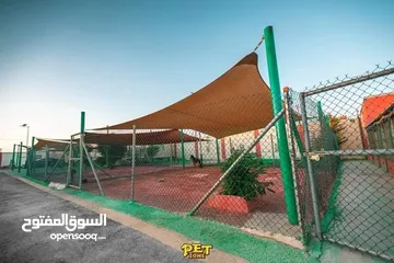  8 درّب كلبك الآن ...اكبر مركز لتدريب الكلاب