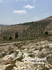  7 دونم للبيع بسعر مغري في بيت امرين قريب جدا من الخدمات و البناء