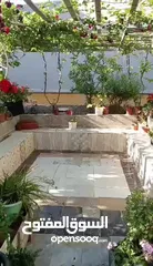  31 بيت ومنازل للبيع