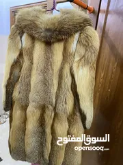  2 بالطو فرو ثعلب ( اصلي )صناعة رومانيه