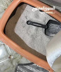  6 بزونه لاعوبه عمره 3 اشهر