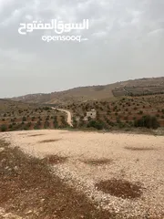  11 قطعة ارض منطقة نادرة - ام رمانة شرق جرش موقع هادئ وجميل جدا