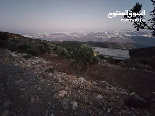  7 ارض للبيع مساحة4300م وعلى الواقع 12دونم تصلح بيت ريفي شاليه ارض زراعيه ويوجد فيها بيت قيد الانشاء