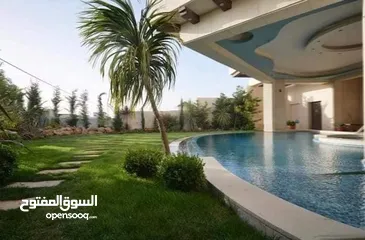  6 فيلًا للبيع طريق المطار الظهير