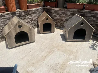  6 بيت للكلاب او القطط خشب لاتيه 18 قوي ومتين عده موديلات وألوان