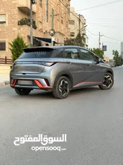  4 byd dolphin fashion 2022