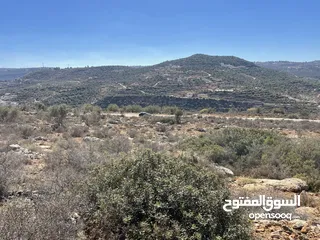 2 تملك قطعة ارض 5 دونم في اعلى جبال بني زيد طابو فلسطيني A والتنازل مباشرة