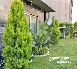  9 شقه للبيع ارضي بجاردن مساحه 157 متر + جاردن 60 متر استلام فوري Galleria new caira