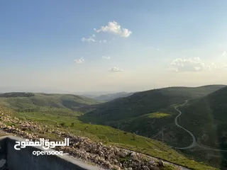  22 مزرعة للبيع في يرقا-السلط، إسكان المهندسين