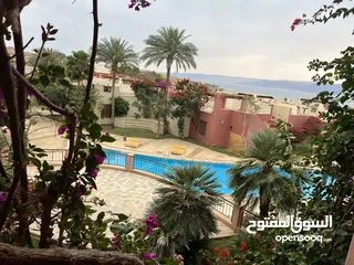  4 اجمل الشاليهات والفلل داخل العقبة من المالك مباشره Talabay resort