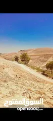  5 ارض للبيع بسعر لقطة في بيت لحم دار صلاح منطقة غنام   لجادين فقط