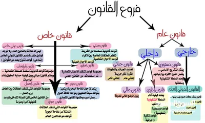  4 مدرس قانون