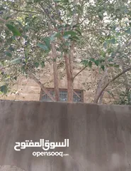  3 منزل للبيع