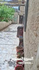  5 شقة للبيع مع حديقه