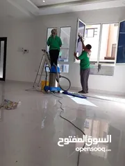 5 Bibi cleaning