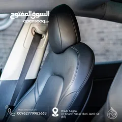  6 تسلا مديل 3 2022