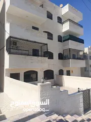  1 للبيع شقة جديدة غير مسكونة – الزرقاء الجديدة / شارع الفلاتر