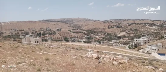  4 أرض للبيع في بيرين حي القصبات مميزة شارعين