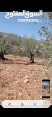  4 ارض للبيع في مزاع النوباني مساحه730متر