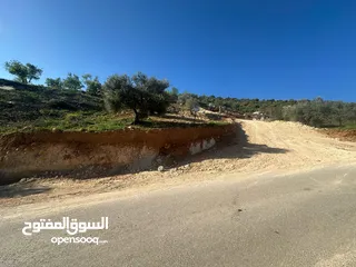  14 قطع سكنيه (سكن ج ) منطقه(عين جنا/ عجلون) وسط البلد،مرتفعه واطلاله جميلة على القلعة واصل جميع الخدمات
