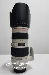  4 Canon Lenses 24-105 24-70 50mm 18-200 75-300 18-135 70-300