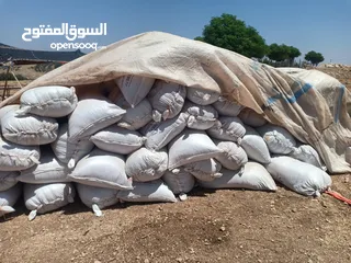  1 تبن بيجة وزن الشوال 13/14/15