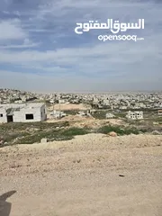  2 بأعلى مطل واقل سعر حوض 31 خلايا وادي العين مساحة الشقفه 828 م2 واجهة القطعه 24 م بسعر مغري جدا جدا م