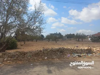  2 أرض مساحة 7 دونم في وسط دير غسانة وعلى ثلاثة شوارع