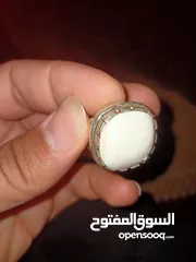  2 محبس عطف بحري مضمون