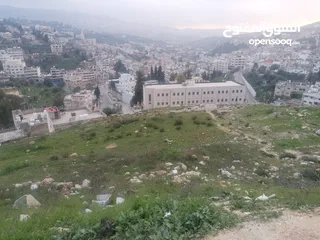  3 فرز جديد أجمل ارض في عجلون مرتفعه على جبل ومطله على جبال عجلون لغايات السكن / فلل / اسكانات