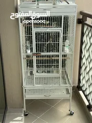  1 قفص طيور bird cage