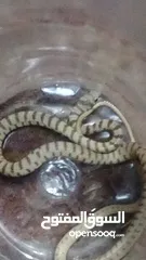  10 حاجات حلوه