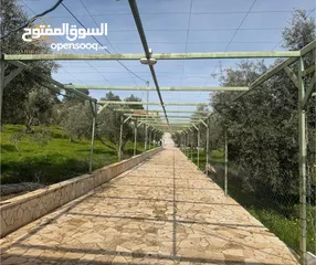  1 إعلان رقم: (5467) مزرعة مميزة بنظام شاليه للبيع – طريق جرش المفرق (رحاب)