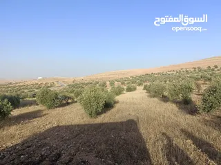  4 مزرعة وبيت