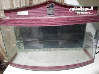  1 حوض سمك كبير