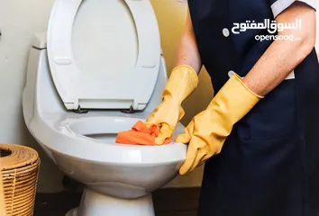  10 مكافحة الحشرات وتنظيف المباني Cleaning’s & Pest Control Services