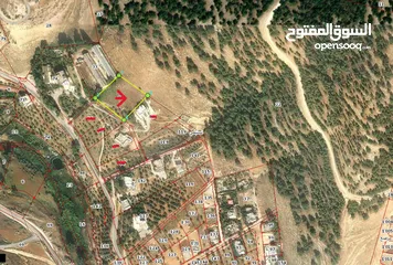  2 قطعة ارض مميزة مطلة عالغابة في السليحي شمال عمان