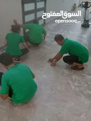  10 Bibi cleaning