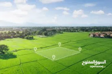  4 ارض كوشان مستقل تصنيف A  اطلالة رائعة في اجمل اراضي الناقورة قرب نابلس