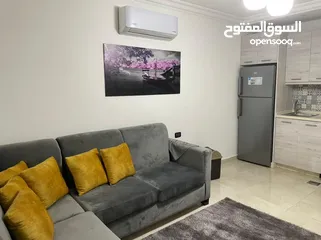  12 استيديو مفروش حديثاً شارع جامعة طلوع نيفين (طلاب وموظفين)