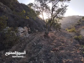  2 أرض للبيع للاستثمار بسعر مغري كثيييير