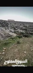  1 ارض للبيع بمدينه الخليل دورا