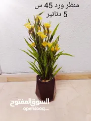  5 فازات مناظر مراي