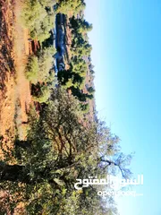  7 أرض للبيع مساحة 4500م2 قوشان مستقل جرش