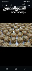  14 تدريب على الاكل وعلى عمل الصبوان