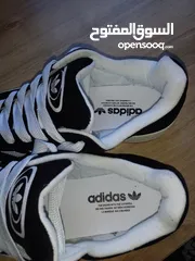  6 adidas campus جديد يتانمي نمرة 42 سبب  البيع كبير