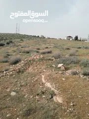  1 3600م للبيع رحاب بني حسن مرتفعه ومطله ع طريق اريد الزرقاء من المالك مباشره