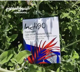  5 مشروب طاقة الانديغو(indigo) مشروب طاقة طبيعي مية بلمية مرخص من وزارة الصحة ميزة البيع جملة ومفرق