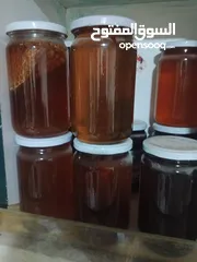  1 عسل نحل ممتاز ،جبنه بيضاء ممتاز بما يرضي الله