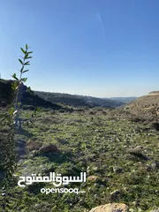  2 ارض للبيع مساحة 524م كوشان طابو-تل- الفوار